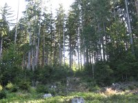 IMG 0792